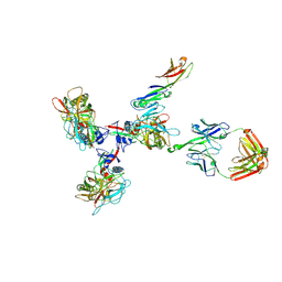 BU of 3jcc by Molmil