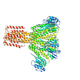 BU of 3jcg by Molmil