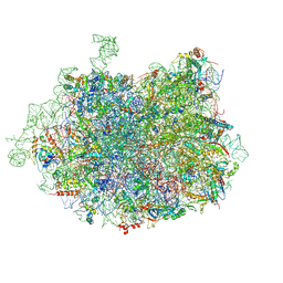 BU of 3jcs by Molmil