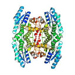 BU of 3jqc by Molmil