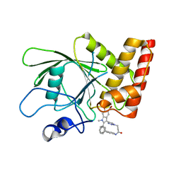 AU of 3jrl by Molmil