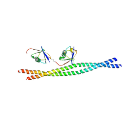 BU of 3jsv by Molmil