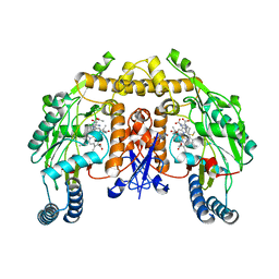 BU of 3jta by Molmil