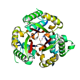 BU of 3jvh by Molmil