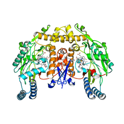 BU of 3jwt by Molmil