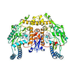 BU of 3jx2 by Molmil