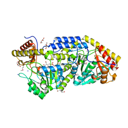 AU of 3kax by Molmil