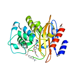 AU of 3kgn by Molmil