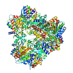 BU of 3kl9 by Molmil
