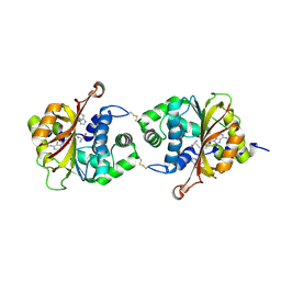 BU of 3kpv by Molmil