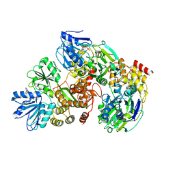 BU of 3kqu by Molmil