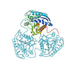 BU of 3kv2 by Molmil