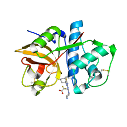 BU of 3kw9 by Molmil