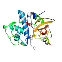 BU of 3kx1 by Molmil