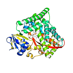 BU of 3kx4 by Molmil