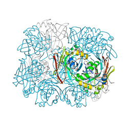 AU of 3l53 by Molmil