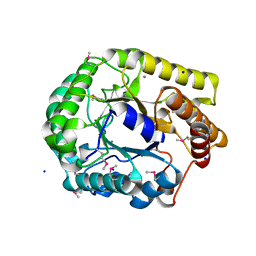 AU of 3l55 by Molmil