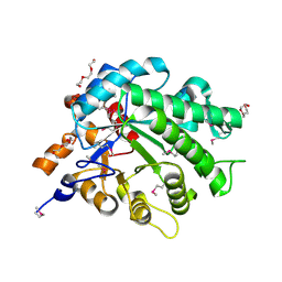 BU of 3l5a by Molmil