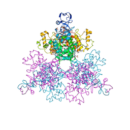 AU of 3l97 by Molmil