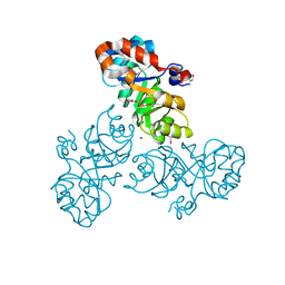 AU of 3lab by Molmil