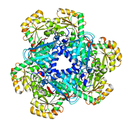 AU of 3lar by Molmil