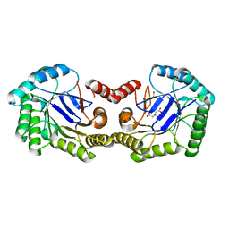 BU of 3lb0 by Molmil