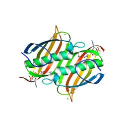 BU of 3lbe by Molmil