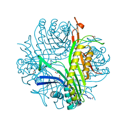 BU of 3lbg by Molmil