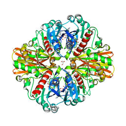 BU of 3lc1 by Molmil