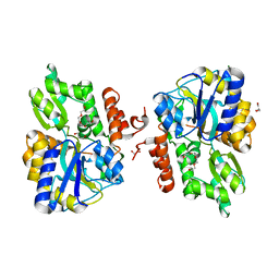 BU of 3lc8 by Molmil