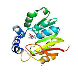 BU of 3lcc by Molmil