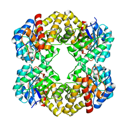 BU of 3lcf by Molmil