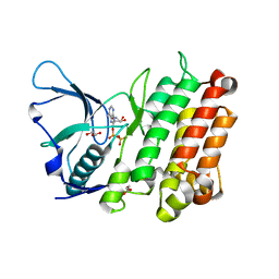 BU of 3lct by Molmil