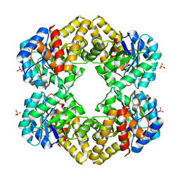 BU of 3lcw by Molmil