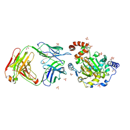 BU of 3ldb by Molmil