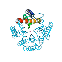 BU of 3ldc by Molmil