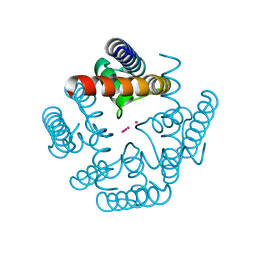 BU of 3ldd by Molmil