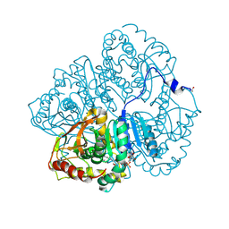 BU of 3ldh by Molmil