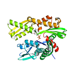 BU of 3ldo by Molmil