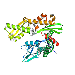 BU of 3ldp by Molmil