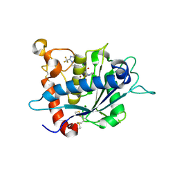 BU of 3lgp by Molmil