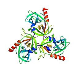 BU of 3lh3 by Molmil