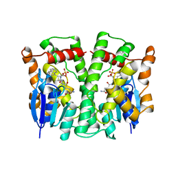 BU of 3ljr by Molmil