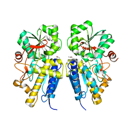 BU of 3lkb by Molmil