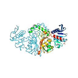 AU of 3llg by Molmil