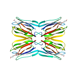 BU of 3lm1 by Molmil