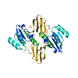 BU of 3lm8 by Molmil