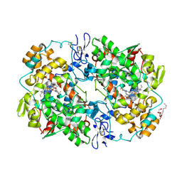 BU of 3ln1 by Molmil