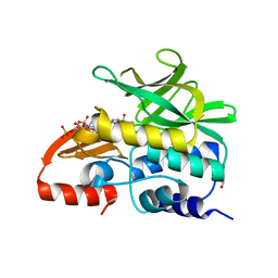 BU of 3lnb by Molmil