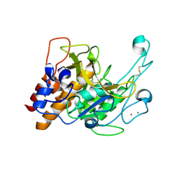 BU of 3lpa by Molmil